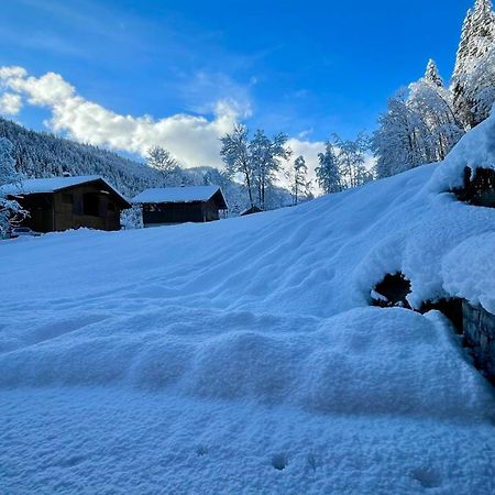 Chalet Birdie Ле-Гран-Борнан Екстер'єр фото
